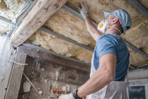Best Insulation for Specific Applications in Thorndale, TX